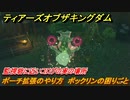 ゼルダの伝説ティアーズオブザキングダム　ポーチ拡張のやり方　ボックリンの困りごと　監視砦に近いコログの実の場所　＃２３３　【ティアキン】
