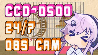 CCD-0500 24/7 obs_cam 【第二回フィーちゃん投稿祭】【ソフトウェアトーク劇場】