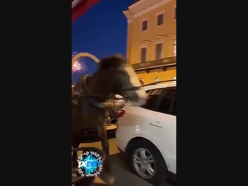 ホモと見る車の横を強引にすり抜ける馬車