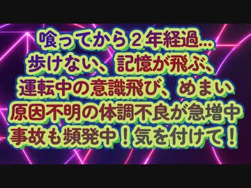 危険は至る所に潜んでいる...今後増えそうな交通事故には特に気を付けて！