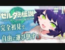 【完全初見】ゼルダの伝説　ティアーズ オブ ザ キングダム　１日目