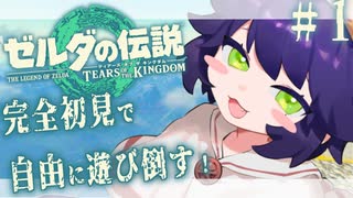 【完全初見】ゼルダの伝説　ティアーズ オブ ザ キングダム　１日目