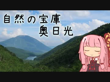 本当にゆっくりな日本一周ツーリング17日目【栃木】【ゆっくりVOICEROID車載】
