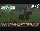 ちゃんと目を見て会話しろ！【ゼルダの伝説 ティアーズ オブ キングダム】実況プレイ part10