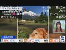 【松雪彩花】半目のワンコに笑いをこらえたあやち