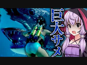 海底の恐怖『巨大なサメ』に襲われる水中ホラーゲームが怖い『47 meters below』【VOICEROID実況/結月ゆかり・紲星あかり】