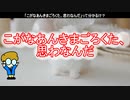 【ずんだもんの愛媛好きだもん・第３弾】・・・「こがなあんきまごろくた、思わなんだ」って分かるけ？