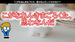 【ずんだもんの愛媛好きだもん・第３弾】・・・「こがなあんきまごろくた、思わなんだ」って分かるけ？