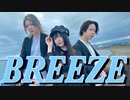 【胡蝶】BREEZE 踊ってみた【東奔キルタイム】