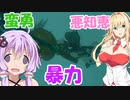 【ゼルダTOTK】蛮勇、悪知恵、暴力のトライフォースゆかり【VOICEROID実況プレイ】41