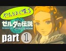 やたらよく喋る騎士 part1【ゼルダの伝説Tears of the Kingdom】