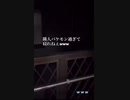 スポメン4F