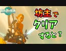 ハゲた状態でゼルダを救うと？【ティアキン TotK】裏技 バグ 検証 ゆっくり実況 glitch