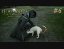 【実況】イギリスで生類憐みの令を発令させる魔女【ホグワーツ・レガシー】#6