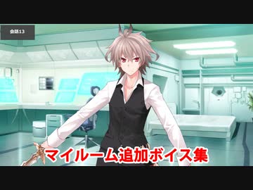 Fate/Grand Order ジーク 追加マイルームボイス集（風雲からくりイリヤ城追加分）