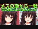 【ニャー】#40　処女を拗らせて猫にキスをした結果【ノラと皇女と野良猫ハート】