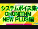 チュウニズムボイスよくばりセット(CHUNITHM NEW PLUS編)