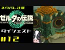 ついに来たゼルダの伝説ティアーズオブザキングダム！その12