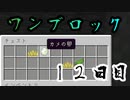 【１２日目】ワンブロックでハードコアな世界を生き残る