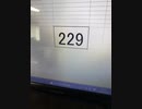 229