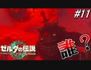 勝手に死んだ奴が生き返えりました。【ゼルダの伝説 ティアーズ オブ キングダム】実況プレイ part11