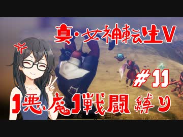 【真・女神転生V】1悪魔1戦闘縛り part11【花隈千冬実況】