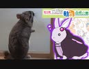 ゆかウサギ動物園　#11【埼玉県こども動物自然公園】