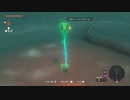 #113,ゼルダの伝説ティアーズオブザキングダム