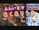 雰囲気でやる水槽作り【Aquarium Designer】