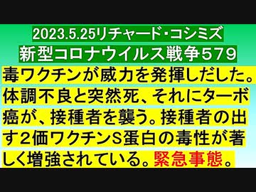 【2023年05月25日 ：「 リチャード・コシミズ Internet 講演 （ ニコニコ生放送『 LIVE 』）（ 改良版 ）」】