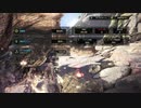 【MHWIB】調査クエでリオレイア限界小冠キタ！【無声】