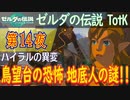 【ハイラルの異変③】ゼルダの伝説 ティアーズオブザキングダム こつこつ実況 第14夜