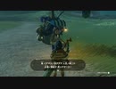 【実況】ゼルダの伝説 たわむれオブザキングダム Part10【ティアキン】