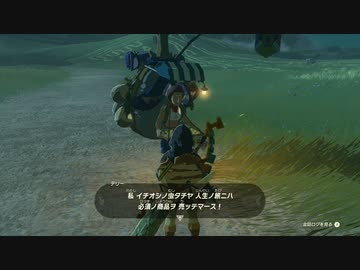 【実況】ゼルダの伝説 たわむれオブザキングダム Part10【ティアキン】