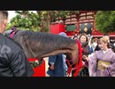 着物美女と馬　浅草2023