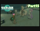 【15】ぼっち勇者の天空探検【ゼルダの伝説ティアーズオブザキングダム】