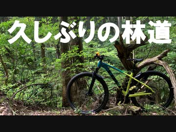 久しぶりの林道走行【マウンテンバイク】
