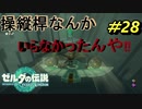 無限の攻略法！それがゼルダ【TEARS OF THE KINGDOM】＃28