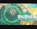 【実況】大空を翔る。ゼルダの伝説ティアーズオブザキングダム 実況プレイ！Part10【ゼルダの伝説TotK】