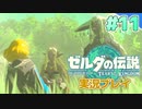 【実況】大空を翔る。ゼルダの伝説ティアーズオブザキングダム 実況プレイ！Part11【ゼルダの伝説TotK】