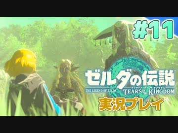 【実況】大空を翔る。ゼルダの伝説ティアーズオブザキングダム 実況プレイ！Part11【ゼルダの伝説TotK】