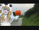 お散歩_皇居外苑⑦