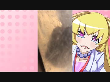 ヒヨリちゃんのハムスターの日常。55