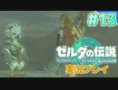 【実況】大空を翔る。ゼルダの伝説ティアーズオブザキングダム 実況プレイ！Part13【ゼルダの伝説TotK】