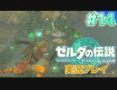 【実況】大空を翔る。ゼルダの伝説ティアーズオブザキングダム 実況プレイ！Part14【ゼルダの伝説TotK】
