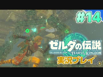 【実況】大空を翔る。ゼルダの伝説ティアーズオブザキングダム 実況プレイ！Part14【ゼルダの伝説TotK】