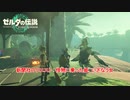 【ゼルダの伝説】新聞社のクエスト : 怪物に乗った姫、いざなう女 Part 31【ティアーズ オブ ザ キングダム(ネタばれあり)】