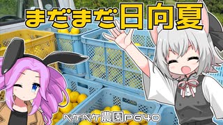 2023年5月25日　農作業日誌P640　暑いけどまだまだ日向夏を収穫とタンゲコトエが登場したよ！　VOICEVOX