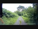 秋田県道296号の様子