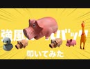 【ブタのおもちゃで】ゆこぴ - 強風オールバック feat.歌愛ユキ【叩いてみた】